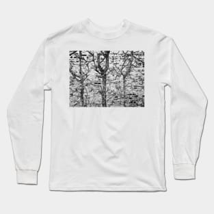 Brick Wall With Branches Long Sleeve T-Shirt